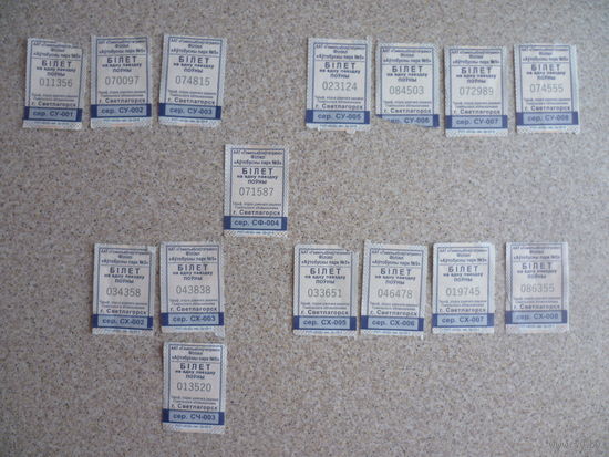 Билеты Светлогорск 2024, 2025 гг.