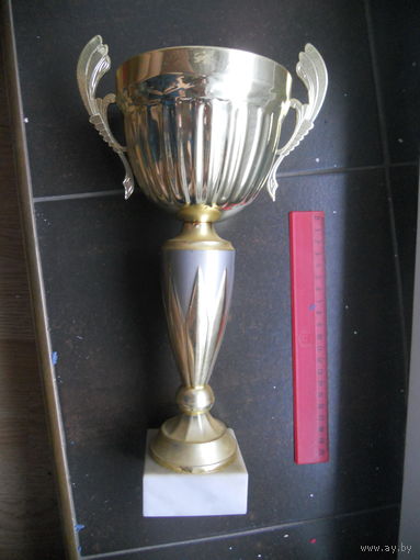 Кубок спортивный 32,5 см.