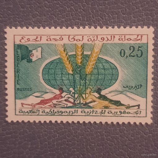 Алжир 1963. Борьба с голодом