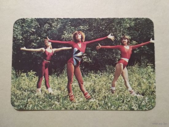 Карманный календарик. Советский спорт. 1988 год