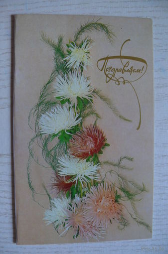 Артемов Е., Михайлова А., Поздравляю! 1987, двойная, чистая.