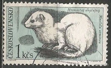 Чехословакия. Горностай. 1967г. Mi#1633.
