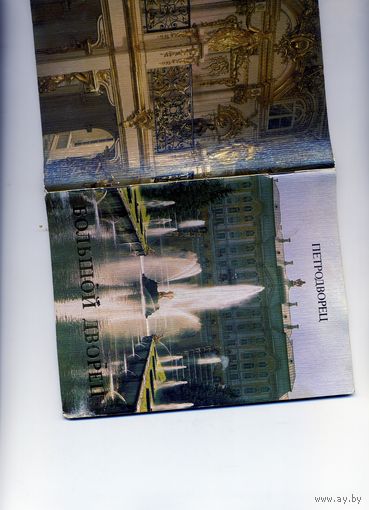 КНИГА, ПЕТРОДВОРЕЦ