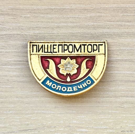 Значок Пищепромторг Молодечно