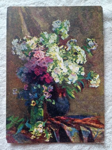 1954. Хвостенко. Флоксы