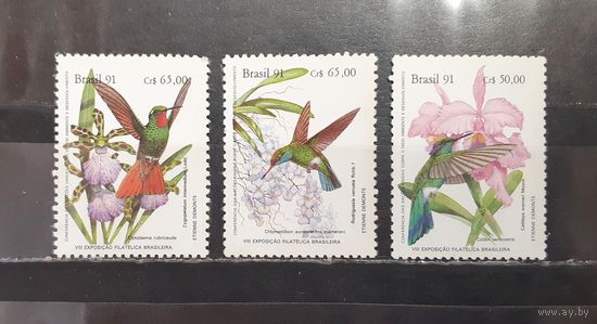 Бразилия. 1991 год. Фауна. Птицы (1250)