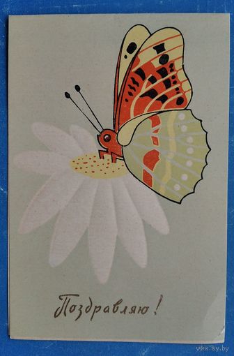 Поздравляю! Пинская типография. 1967 г. Двойная. Подписана.