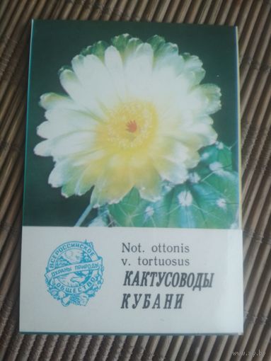 Карманный календарик.1985 год. Кактусоводы Кубани