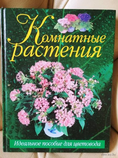 Комнатные растения. Мини-энциклопедия.