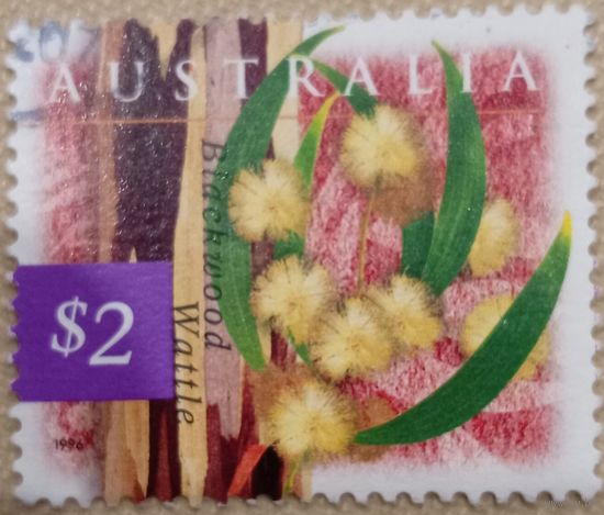 Австралия 1996. Флора. Цветы. Blackwood Wattle