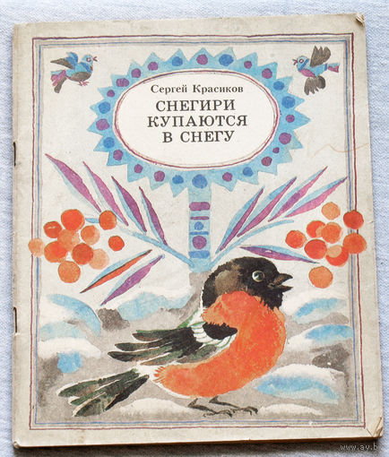 Снегири купаются в снегу.