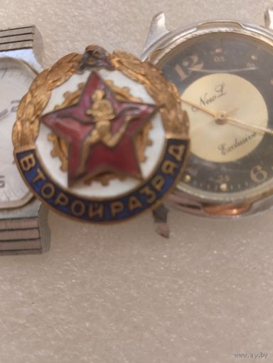 Знак Спортсмен бегун 2 разряд Бронза.