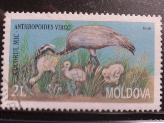 Молдова 1998 Птицы Михель-2,2 евро гаш