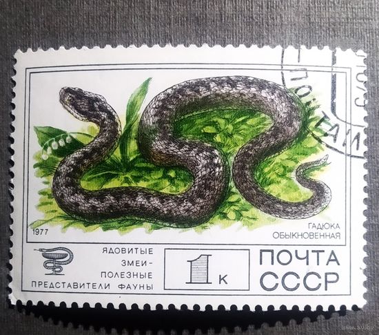 Марка СССР 1977 год Фауна
