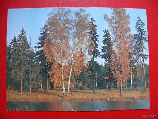 Сафонова С.(фото), Осенний пейзаж, 1983, чистая.