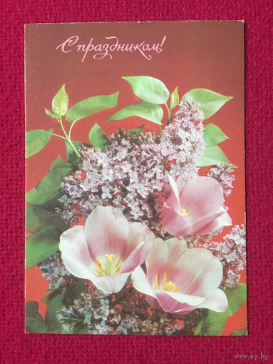 С праздником! Дергилев 1991 г.