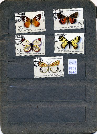 СССР, 1986, БАБОЧКИ, серия 5м  гашен
