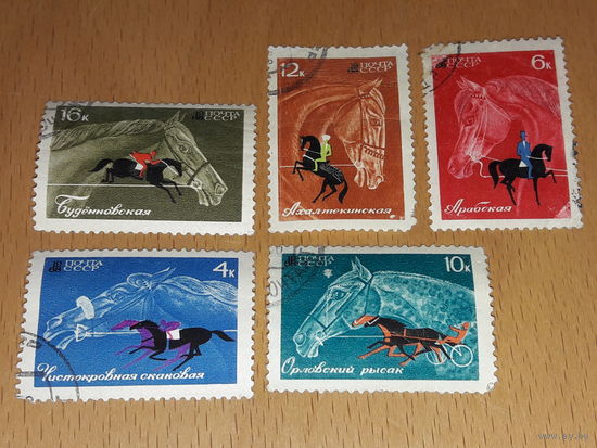 СССР 1968 Коневодство и конный спорт. Полная серия 5 марок