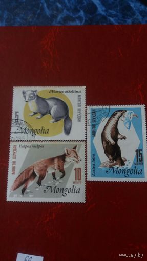 Монголия 1966 3м