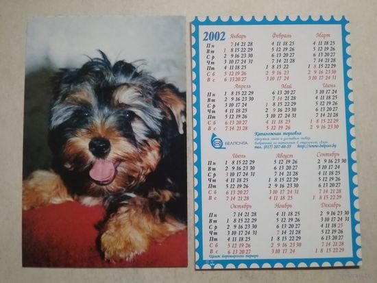 Карманный календарик . Щенок йоркширского терьера. Белпочта. 2002 год