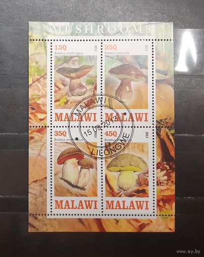 Малави. 2013 год. Флора. Грибы. Блок (1007)