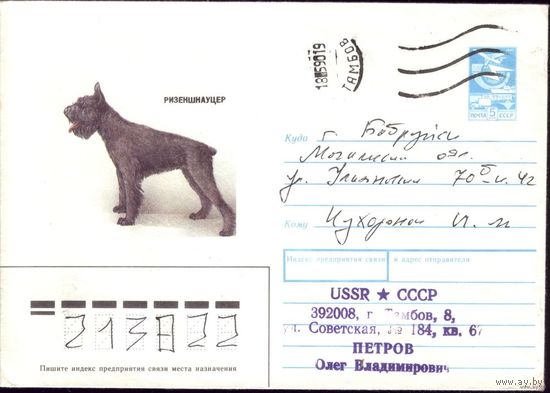 1989 год ХМК Ризеншнауцер 89-284 2
