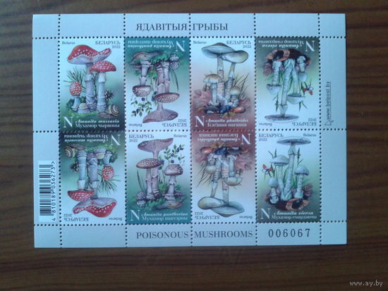2022 Ядовитые грибы** Блок
