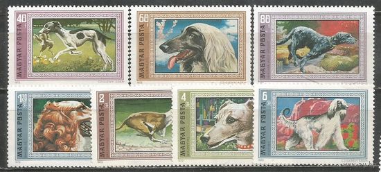 Венгрия. Борзые. 1972г. Mi#2742-48. Серия.