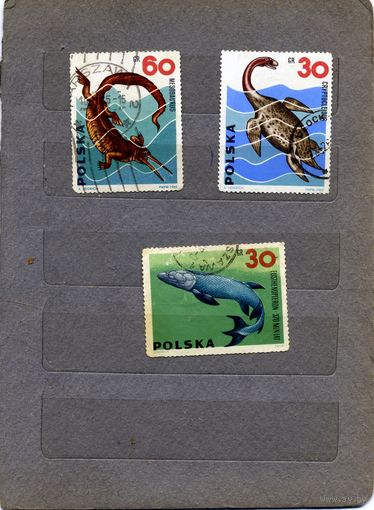 ПОЛЬША, 1965,  фауна, сборка ,  ,3м по 10 коп шт  гашен