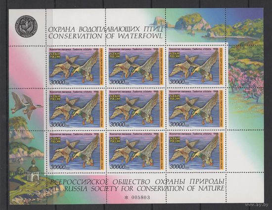 РОССИЯ 1995 ** Птицы, Утки России, лист 9 марок