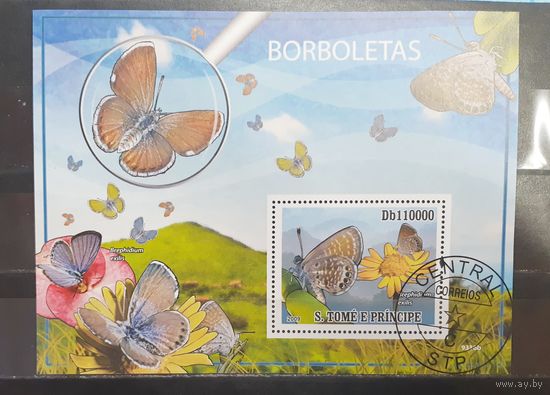 Сен Томе и Принсипи. 2009 год. Фауна. Бабочки (блок) (1441)