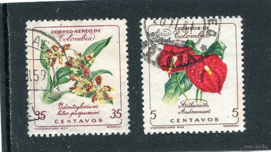 Колумбия. Флора. Цветы