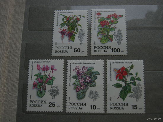 Марки - Россия, 1993 - флора, цветы, комнатные растения