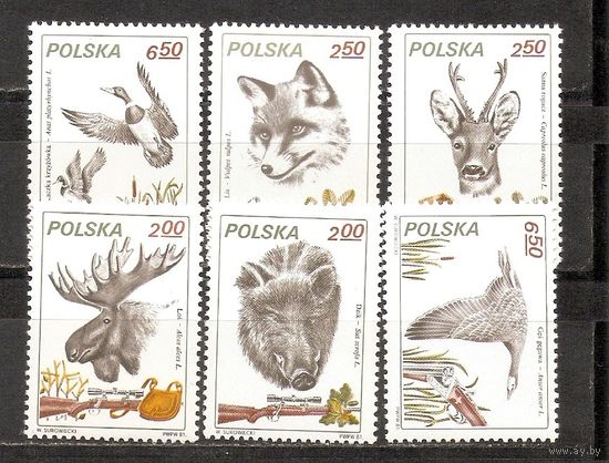 ФФ1 Польша 1981 Охота