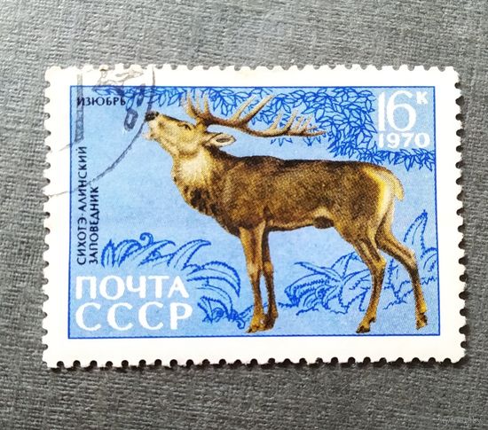 Марка СССР 1970 год Сихотэ-Алинский заповедник