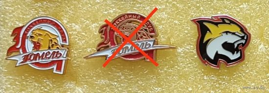 Хоккей ХК Гомель, любой значок по 15 р. (крепление - цанга)