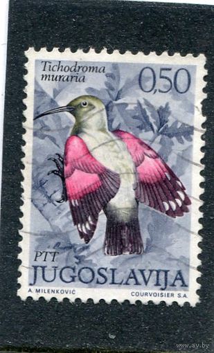 Югославия. Птицы
