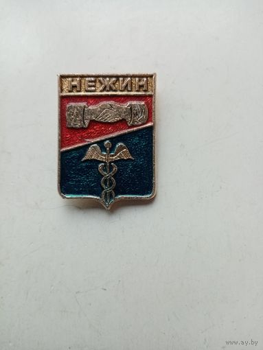 Значок нежин