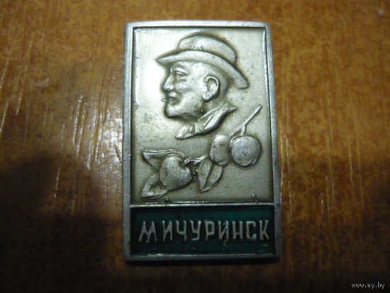 МИЧУРИНСК