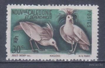 [634] Французские колонии. Новая Каледония 1905. Фауна.Птицы.Кагу. МН