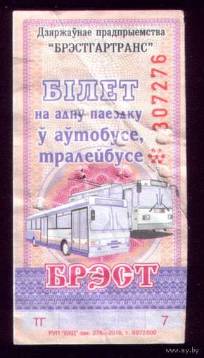 Брест ТГ 7