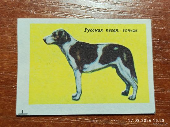 Спичечная этикетка Русская пегая, гончая