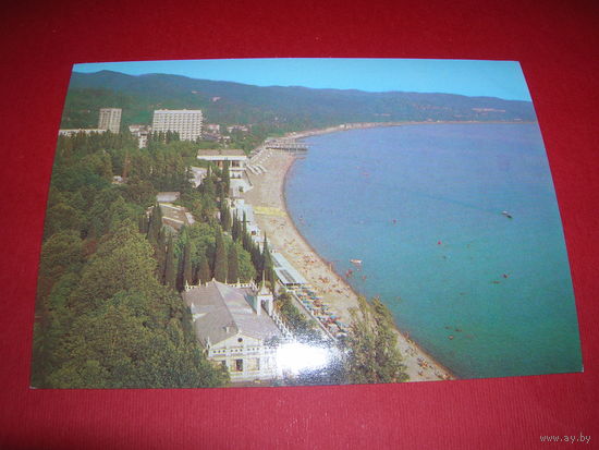 Абхазия Сухуми 1981 год чистая