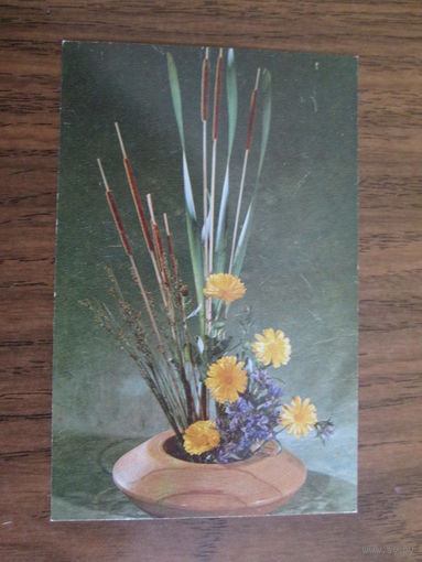 Почтовая карточка.1977г.Чистая.