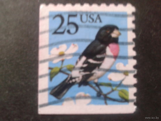 США 1988 стандарт, птица
