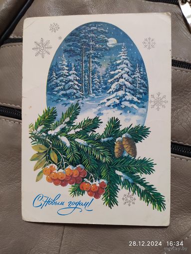 Куртенко Ю. 1986г.