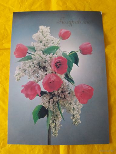 Поздравляю