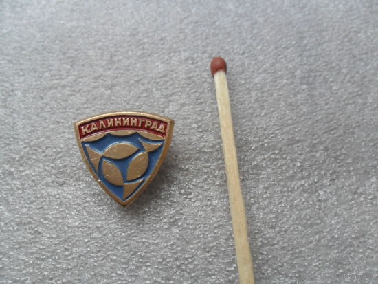 Калининград