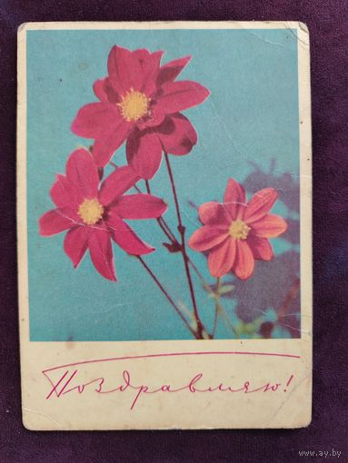 Поздравляю. Дергилев И. 1968 Подписана