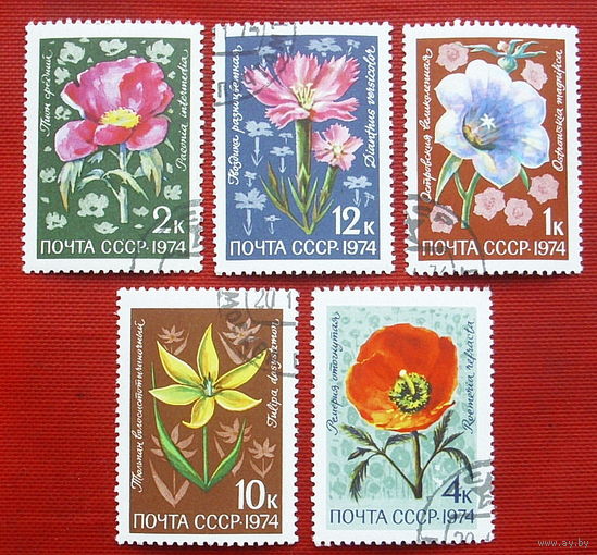 СССР. Цветы альпийских лугов Средней Азии. ( 5 марок ) 1974 года. 3-9.